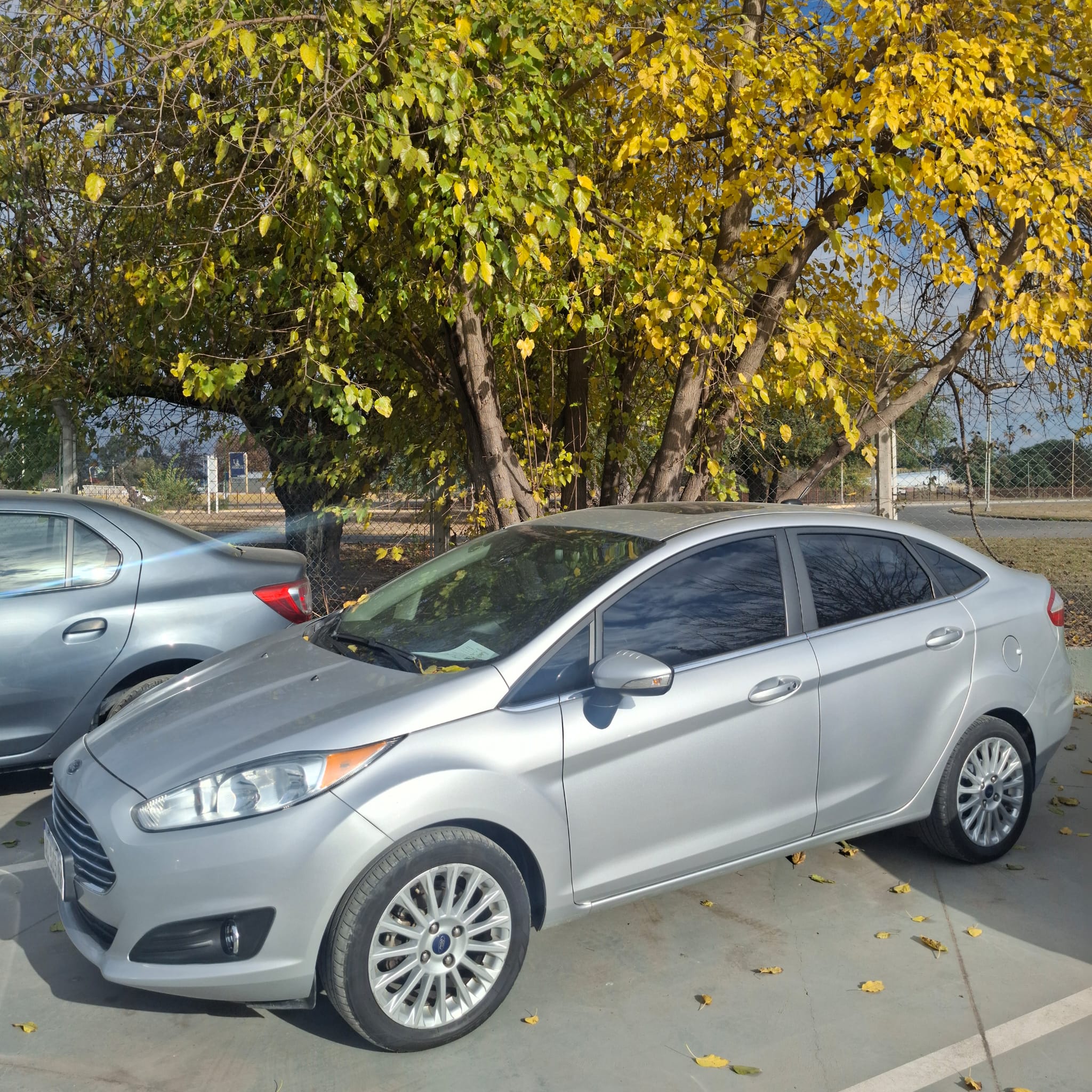 Ford Fiesta miniatura 4
